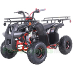 ATV-T060 New 125 ATV with Automatic Transmission w/Reverse, LED Headlights, Remote Control! Big 16" Tires!