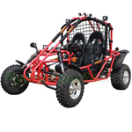 GK-G021 200 Go Kart with Fully Automatic Transmission w/Reverse, With 4 LED Lights, Big 21/22" Aluminum Tires!