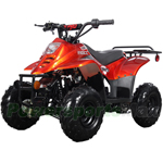 X-PRO 110cc ATV with Automatic Transmission, with Remote Control! Rear Rack!