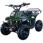 ATV-G014 Rex 110cc ATV with Automatic Transmission, Electric Start, Rear Rack!