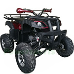 ATV-G022 200 Utility ATV with Automatic Transmission w/Reverse, Electric Start! Big 21"/20" Aluminum Wheels!