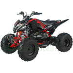 ATV-G029 200 EFI Sport ATV with Fully Automatic Transmission w/Reverse, Electric Start, Big 20"/19" Tires!
