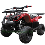 Fully Assembled and Tested! ATV-J012 125 ATV with Automatic Transmission w/Reverse, Foot Brake and Remote Control! Big 16" Tires!
