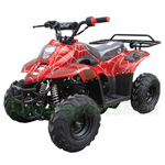 ATV-J013 110cc ATV with Automatic Transmission, Foot Brake, Remote Control and Rear Rack!
