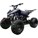 Fully Assembled and Tested! ATV-J024 125cc Sports ATV with Automatic Transmission w/Reverse, Metal Foot Rest! Remote Control! Big 19"/18" Tires