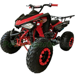X-PRO Panther 200 Sports ATV with Automatic Transmission with Reverse, LED Headlights, Big 23"/22" Tires!