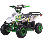 X-PRO Bolt 110cc ATV with Automatic Transmission, with Remote Control! Rear Rack!