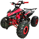 ATV-P018 125cc ATV with Automatic Transmission w/Reverse, LED Headlights, Big 19"/18" Tires!