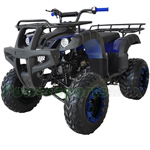 ATV-P019 200 Utility ATV with Automatic Transmission w/Reverse, LED Headlight, Big 23"/22" Wheels!