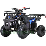 ATV-T013 125cc ATV with Automatic Transmission w/Reverse, LED Headlights, Remote Control! Big 16" Tires!