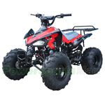 Fully Assembled and Tested! ATV-T042 125 ATV with Automatic Transmission w/Reverse! Big 19"/18" Wheels!