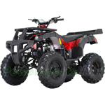 ATV-T043 250 Utility Full Size ATV with Manual Transmission w/Reverse, Big 23"/22" Tires!
