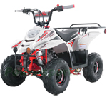 Fully Assembled and Tested! ATV-T059 New 110cc ATV with Automatic Transmission, Remote Control! Rear Rack!