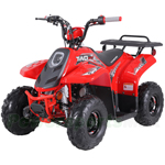 ATV-T062 110cc ATV with Automatic with Reverse Transmission, Remote Control! Rear Rack!