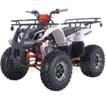 Fully Assembled and Tested! ATV-T063 120cc ATV with Automatic Transmission w/Reverse, LED Headlights! Big 19"/18" Alloy Rims Tires!