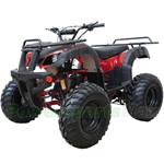 ATV-W019 200cc ATV with Automatic Transmission w/Reverse, LED Headlight, Big 23"/22" Tires!