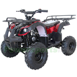 ATV-W020 125cc Utility ATV with Automatic Transmission w/Reverse, Remote Control! Big 16" Tires! Big LED Headlights!