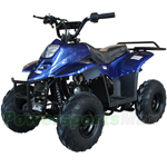ATV-W027 110cc ATV with Automatic Transmission, with Remote Control! Rear Rack!