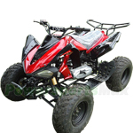 ATV-W028 200cc Sports ATV with Automatic Transmission with Reverse, Big 23"/22" Steel Tires!