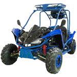 GK-G017 150cc Go Kart with Automatic Transmission w/Reverse! Electric Start! Disc Brakes, Big 19"/18" Wheels!