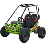 Free Shipping! GK-M17 163cc Go Kart with Automatic Transmission with Reverse, 5.5HP General Purpose Engine!
